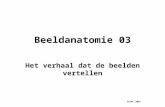 Beeldanatomie 03