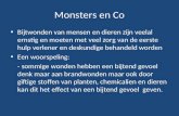 Monsters en Co