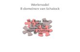 Werkmodel 8 domeinen van  Schalock