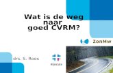 Wat is de weg naar  goed CVRM?