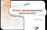 ITCOLE: samenwerkend leren binnen een ELO