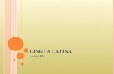 Lingua  Latina