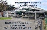 Manege-taverne  Kattevenia