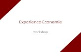 Experience  Economie
