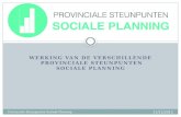 Werking van de verschillende  provinciale steunpunten Sociale Planning
