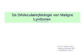 De (Moleculaire)biologie van Maligne Lymfomen Blok oncologie, April 2012