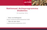 Nationaal Actieprogramma Diabetes 24 november 2011
