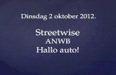 Streetwise ANWB Hallo auto!
