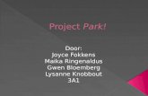 Project  Park!