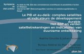 Het BBP en  verder :  satellietrekeningen  en  indicatoren  van  duurzame ontwikkeling