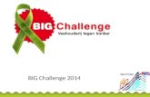 BIG Challenge 2014
