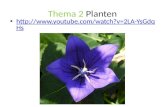 Thema 2  Planten