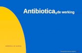 Antibiotica, de werking