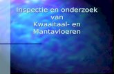 Inspectie en onderzoek van Kwaaitaal- en Mantavloeren