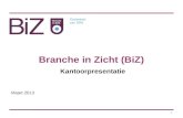 Branche in Zicht (BiZ)