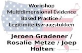 Workshop Multidimensional Evidence Based Practice /  Legitimiteitsvraagstukken