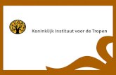 Koninklijk Instituut voor de Tropen, Amsterdam