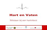 College  Hst  7, par 7.2-7.4  Angina Pectoris en  Hartinfarct Dr. Harold van Rijen