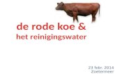 de rode koe & het reinigingswater