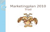Marketingplan 2010 Triad