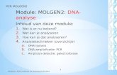Module:  MOLGEN2 :  DNA-analyse Inhoud van deze module: Wat is er nu bekend? Wat kan je analyseren