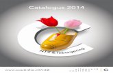uitgeverij Coutinho - 2014 - NT2 & inburgering
