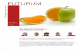 Futurum - leaflet 2013