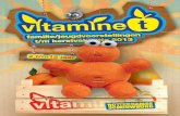Vitamine T najaar 2013