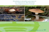 Jaarverslag paddenstoelen 2008