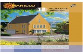 Brochure Amarillo