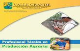 Profesional Tecnico en Produccion Agraria - Valle Grande