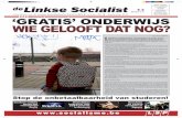 De Linkse Socialist september 2013
