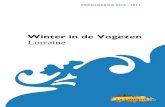 Winter in de Vogezen
