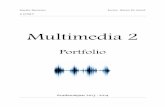 Multimedia 2 : Portfolio