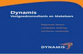 Corporate Brochure Dynamis 2013