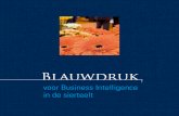 Blauwdruk voor Business Intelligence in de sierteelt