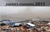 Japan tsunami-Huy