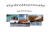 Hydrothermale bronnen