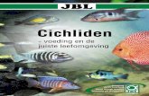 Cichliden JBL