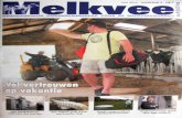 BRONcorrector Melkvee Magazine juli 2010