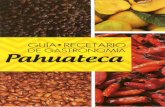 Guia - Recetario de Gastronomia Pahuateca