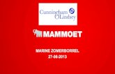 Presentatie Mammoet  zomerborrel clm 27 06 2013