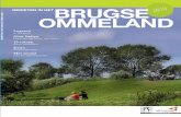 Brugse Ommeland 2010