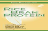Henk Hoogenkamp - Rice Bran Protein