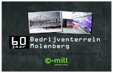 60 jaar bedrijventerrein Molenberg