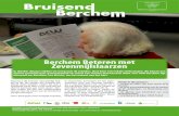 Bruisend Berchem (maart 2012) - ACW Nieuwsbrief Berchem