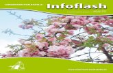Infoflash april - mei 2013