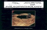 JoP  Vol. 11  n.1 - 1999
