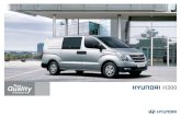2010 Hyundai H300 brochure