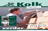 Kolk Report 6 - 2010